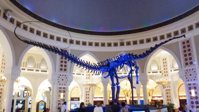 Эмираты. Дубай Малл. 10. 2016 г.