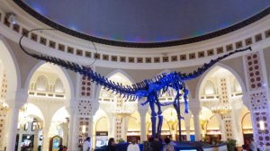 Эмираты. Дубай Малл. 10. 2016 г.