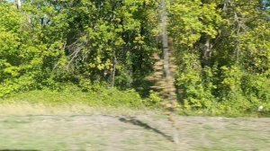 Поездка в Донецк на автобусе за 38 минут