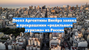 Посол Аргентины Виейра заявил о прекращении «родильного туризма» из России