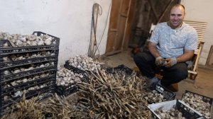 УЧАТ ЖИЗНИ,ОТПОР ХАМСТВУ/ДЕНЬГИ НА ВЕТЕР,ОТДАЛА В РЕМОНТ/НЕ УСПЕВАЕМ