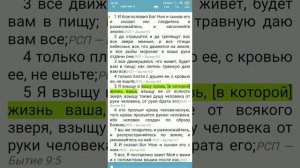 жизнь в крови