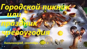 Городской пикник или праздник чревоугодия. Сентябрь 2024 г.