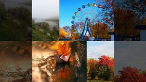 Необычная осень (mp3cut.net) (online-video-cutter.com)