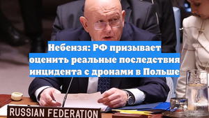 Небензя: РФ призывает оценить реальные последствия инцидента с дронами в Польше