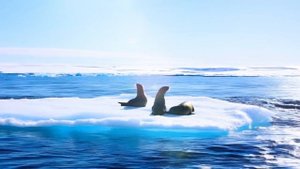 Холодный океан - музыка для вдохновния и настроения