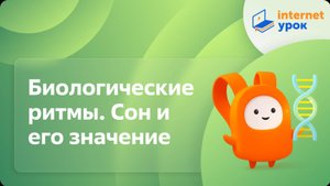Биологические ритмы. Сон и его значение. Видеоурок по биологии 8 класс