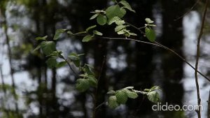 Ой, ой, ой, что со мной.