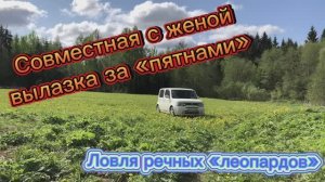 Затащил жену в лес, и доставил ей там удовольствие…спиннингом! Ловля ручьевой форели.