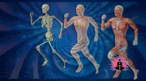 -Коррекция-костной-