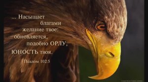 Одна лишь истина на свете есть
