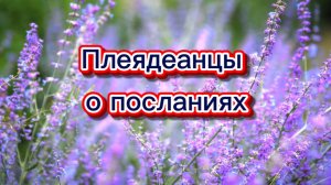 Плеядеанцы о посланиях 19.06.2025г (58 Послание)