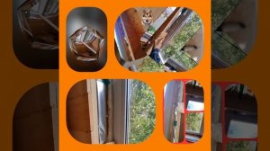 1000034510.mp4 (Собака наблюдает за устройством откосов у оконных проёмов в б/комнате дома А-фрейм)