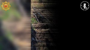 Апти Алаудинов "АХМАТ". Уничтожение вражеской артиллерийской позиции