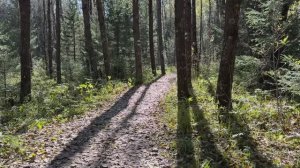 Шелест осенней листвы