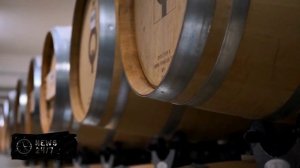 Вывести отрасль на новую высоту: на "Балтика Фест" обсудили развитие пивоварения