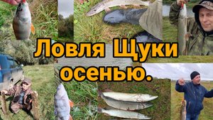 Ловля щуки осенью 🎣.fishing.