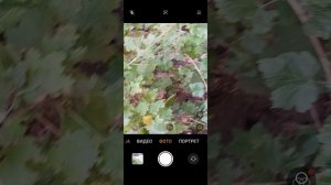 3 часть слешки