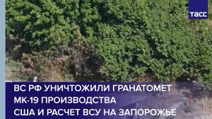 ВС РФ уничтожили гранатомет МК-19 производства США и расчет ВСУ на Запорожье