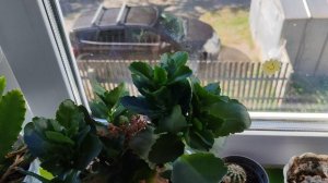 13-09-2025 счастливая осень в деревне