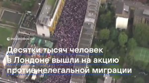 В Лондоне прошла акция против нелегальной миграции