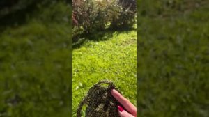 Вяжем мочалки из крапивного лыка