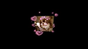 Прощай Миша!!!!