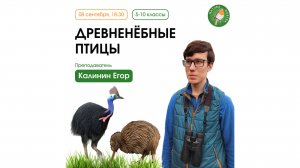 Древненёбные птицы