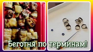 VLOG из 🇩🇪: Беготня по терминам. Тёщины язычки из баклажан и цукини. Зубной врач в Германии.