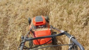 Косилка бомбит траву гораздо выше себя!