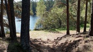 Осенний выходной