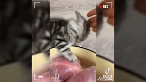 МААААААААААЛЕНЬКИИЙ 😄