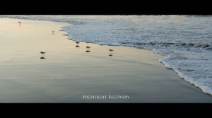 20. BMPCC 4K _ Graded in Davinci Resolve