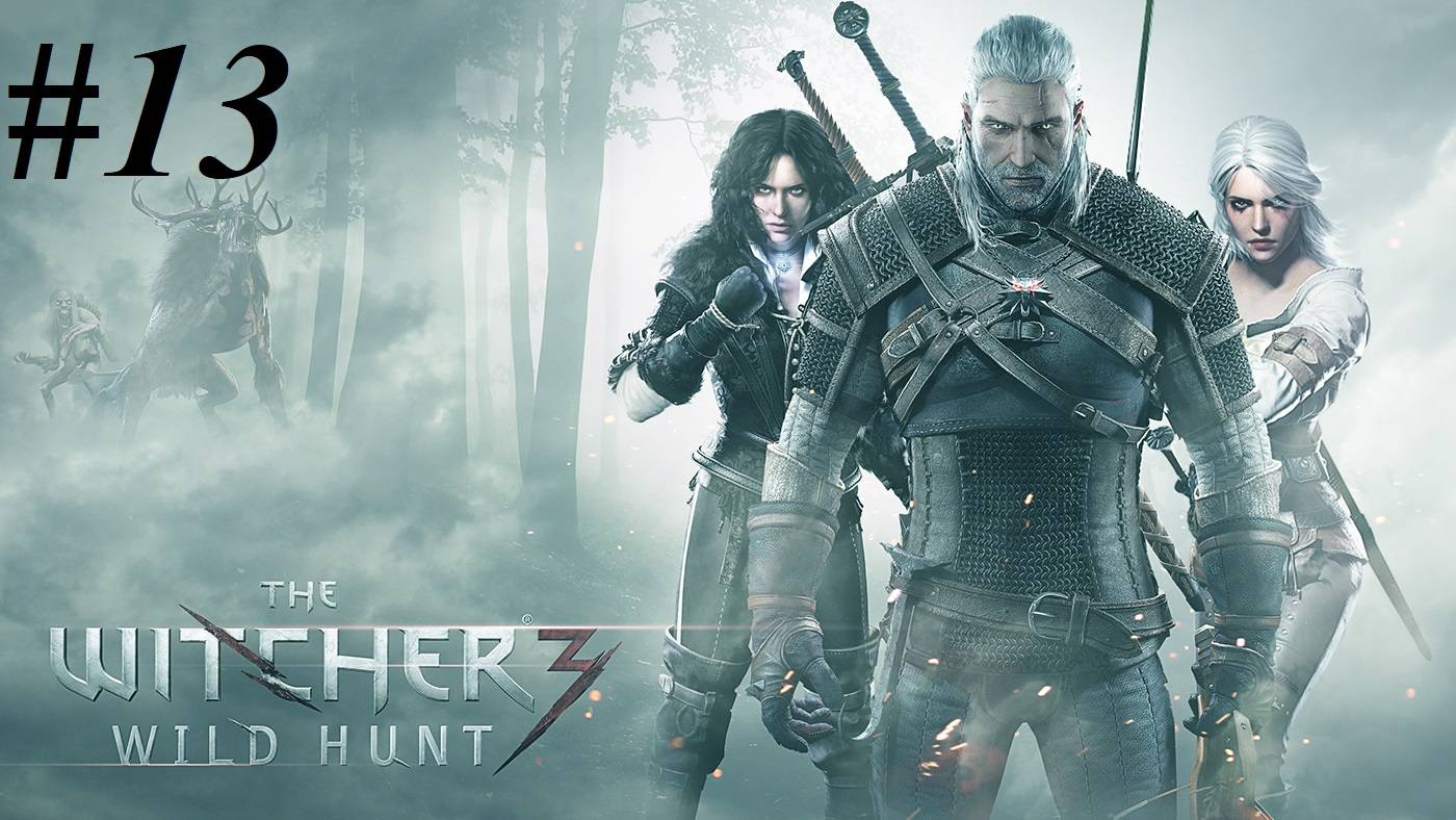 Прохождение Ведьмак 3: Дикая охота вместе с дочкой, видео №13 - Дела семейные