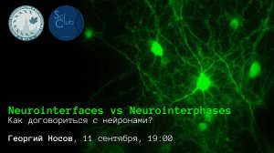 Георгий Носов. Neurointerfaces vs. Neurointerphases. Как договориться с нейронами?
