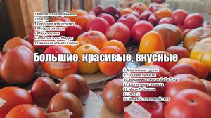 Большие, красивые, вкусные: дегустация индетерминантных сортов томатов. (Часть 4)