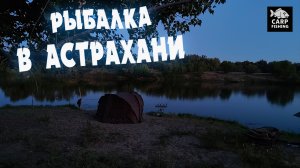 РЫБАЛКА В АСТРАХАНИ 2025