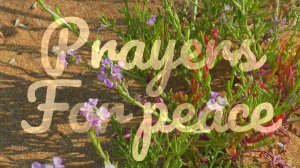 Prayers for peace
