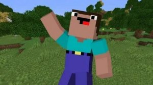 НУБКИН МАИНКРАФТ.