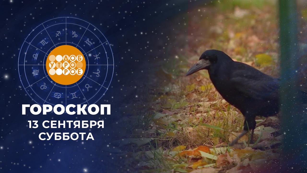 Гороскоп на 13 и 14 сентября. Доброе утро. Суббота. Фрагмент выпуска от 13.09.2025