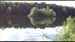 Дообое утро !