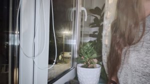 вечером в деревне в субботу