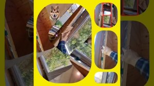 1000034512.mp4 (Собака наблюдает за устройством откосов у оконных проёмов в б/комнате дома А-фрейм)