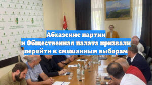 Абхазские партии и Общественная палата призвали перейти к смешанным выборам