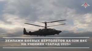 Экипажи боевых вертолетов Ка-52м ВКС уничтожили условного противника в рамках учения «Запад-2025»
