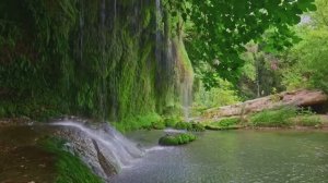 Прошла угрюмая зима