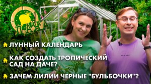 Как создать тропический сад? | Чем подкармливать лилии? | Лунный календарь. Дача