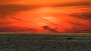 Красное небо и Чёрное море