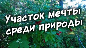 Участок мечты среди природы