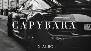 X ALBO - CAPYBARA